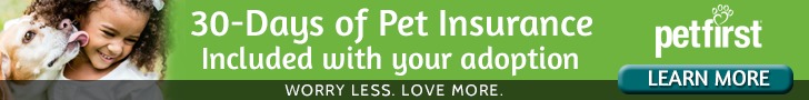 Pet First Insurance